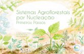 Sistemas Agroflorestais por Nucleação - web.ademadan.org.brweb.ademadan.org.br/.../2015/...Agroflorestais-por-Nucleação_web.pdf · Existem muitas publicações sobre agrofloresta,