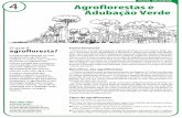 4 Agroflorestas e Adubação Verde - comcultura.org.brcomcultura.org.br/.../2009/07/folhaquatroagroflorestaeadubacao.pdf · A agrofloresta é uma tecnologia simples para avançar