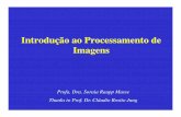 Introdução ao Processamento de Imagens - inf.pucrs.brsmusse/CG/PDFs2014_1/IntroPI_2014.pdf · Fisiologia do Olho Humano • Retina: parte sensível à luz ... e azul (B). Assim,