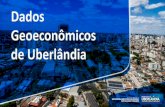 Dados Geoeconômicos de Uberlândia - uberlandia.mg.gov.br · Fonte: Detran/MG - Referência 2017 - Divulgada Jan/2018. Frota Circulante Ranking Uberlândia UF MUNICíPIO TOTAL Brasil