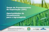 Zonas de Processamento de Exportação (ZPE) Oportunidades ...³cio/... · Regime Brasileiro de ZPE - Limitações Manter, por ano-calendário, receita bruta decorrente de exportação