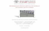 DETERMINAÇÃO GRANULOMÉTRICA DE UM SOLOup201303617/cyclosizer.pdf · 2014-06-01 · não apresentam propriedades correlacionadas com a plasticidade) a classificação granulométrica
