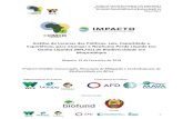 Análise de Lacunas das Políticas, Leis, Capacidade e ...combo-africa.org/wp-content/uploads/2018/03/20180222_c1_analise_de... · das comunidades locais, avaliação ambiental estratégica,