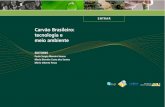 Carvão Brasileiro: tecnologia e meio ambiente - Mineralismineralis.cetem.gov.br/bitstream/cetem/2039/1/carvao_brasileiro... · tecnologia e meio ambiente EDITORES Paulo Sergio Moreira