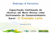 Embrapa & Parceiros Capacitação Continuada de técnicos em … · 2012-11-09 · técnicos em Mato Grosso como Instrumento de Desenvolvimento Rural: ... Zero Sensibilização e