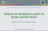 Síntese de biodiesel a partir de ácidos gordos livrespath.web.ua.pt/file/TeseMarise_ppt.pdf · ésteres metílicos e etílicos, derivados de fontes renováveis Biodiesel ... oleico