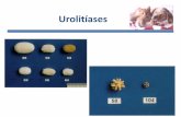 Energia do alimento - UNESP: Câmpus de …€¢ Formação de urólitos em qualquer local do trato urinário a partir de cristalóides poucos solúveis na urina • Seqüela de uma