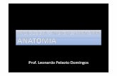 Prof. Leonardo Peixoto Domingos - FACIMED · • Ácino pulmonar Menor unidade da estrutura pulmonar em que todas as vias aéreas participam da hematose ARQUITETURA DO PARÊNQUIMA