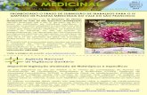 Folha Medicinal Ano 1 Vol 1 Num 3 Mai-Jun 2013 · Chinesa/Acupuntura, Medicina Antroposófica e Termalismo Social – Crenoterapia, ... para o osso alveolar que envolve e segura os