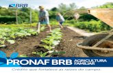 PrONaf BrB familiar agriculturainterarquivos.brb.com.br/.../credito/BRB_Cartilha_PRONAF.pdf · O PrOnaf – Programa nacional de fortalecimento da agricultura familiar foi criado