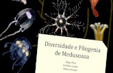 Diversidade e filogenia de Medusozoa (Cnidaria) · Slides - Imagens Espécimes vivos ... Origem do estágio de medusa, Caracteres de interesse evolutivo ) ... Introdução à Didática