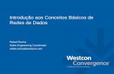 Introdução aos Conceitos Básicos de Redes de Dadosbr.westcon.com/documents/46343/Conceitos de Dados.pdf · Rede de comunicação de dados é um conjunto de dispositivos, denominados