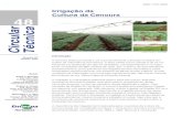 Irrigação da Cultura da Cenoura 48 · 4 Irrigação da Cultura da Cenoura molhada contínua ao longo da linha de plantio. Como regra geral, pode-se adotar espaçamento entre emissores