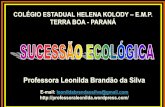 Professora Leonilda Brandão da Silva · gênio atmosférico, são os 1ºs a se instalarem (pionei-ros). A instalação de liquens em regiões sem vida ... (UEL-PR) Considere os seguintes