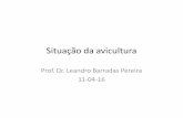 Prof. Dr. Leandro Barradas Pereira 11-04 -16 - Portal da FEA · Evolução da avicultura no Brasil 1900 a 1930 –foram importadas as primeiras galinhas de raça pura, a primeira