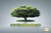 Balanço socioambiental 2010 / Conselho Regional de ... · ... mas também no desenvolvimento harmonioso da sociedade organizada da qual ... MISSÃO Estabelecer e valorizar a classe