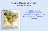 Flora Brasiliensis Revisitada - CRIA · PPT file · Web viewListas divulgadas: Estratégias para a elaboração de uma Flora Brasileira: Base de dados Estratégias para a elaboração