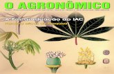 O Agronômico, Campinas, 54(2), 2002 1 - iac.sp.gov.br · ferir ciência e tecnologia para o negócio agrícola, visando à otimização dos sistemas de produção vegetal e ao desenvolvimento