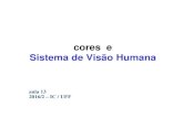 cores e Sistema de Visão Humana - Instituto de Computaçãoaconci/CG-Aula13-2016.pdf · independem da cor , mas sim da iluminação das formas que representam. 3 Imagens de objeto