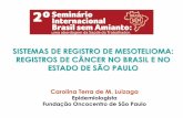 SISTEMAS DE REGISTRO DE MESOTELIOMA: REGISTROS DE CÂNCER ...brasilsemamianto.com.br/wp-content/uploads/2018/05/17.05-Quinta... · Registro de Câncer de Base Populacional (RCBP)