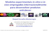 Modelos experimentais in vitro e in vivo empregados ...sbmf.org.br/pdf_eventos/medicamentos-oncologicos/Raquel_Montenegro... · Simpósio sobre desenvolvimento de medicamentos oncológicos
