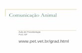 Comunicação Animal - psicobiobiologia.files.wordpress.com · “Transferência de informação de um animal para outro (dessa forma influenciando o comportamento do receptor) por