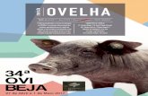 revista OVELHA - ovibeja.pt · 02 | OVELHA crónica Nasceu em 1965 na Aldeia de Palheiros. Viveu em Ourique, Castro Verde, Feijó, Amadora, Laranjeiro e Alemanha, mas concluiu ...