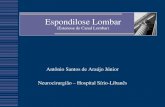 Espondilose Lombar (Estenose de Canal Lombar)araujoefazzito.com.br/wp-content/uploads/2017/11/AULA-Espondilose... · Espondilose Lombar (Estenose de Canal Lombar) Antônio Santos
