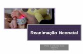 Reanimação Neonatal - liped.weebly.comliped.weebly.com/uploads/8/9/2/9/8929702/reanimao_neonatal_outubro... · crianças com até seis dias de vida em todos os Estados do país.