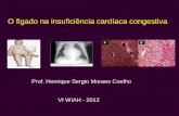 Prof. Henrique Sergio Moraes Coelho VI WIAH - 2012 · 2012-09-05 · Icterícia colestática Esplenomegalia é incomum ... Na maior parte das vezes