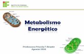 Professora Priscila F Binatto Agosto/ 2015 · cap. 10 “metabolismo energÉtico: fotossÍntese e quimiossÍntese ...