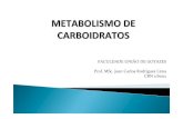 METABOLISMO DE CARBOIDRATOS - pro-thor.compro-thor.com/wp-content/uploads/3-Metabolismo-dos-carboidratos.pdf · METABOLISMO DE CARBOIDRATOS FACULDADE UNIÃO DE GOYAZES Prof. MSc.