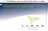 Análise do Potencial da Integração Produtiva e ... · Análise do Potencial da Integração Produtiva e Desenvolvimento de Serviços Logísticos de Valor Agregado de Projetos IIRSA