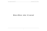 Recifes de Coral - Portal Acadêmicoalunos.ciman.com.br/Blog/Arquivos/Claudiner Pereira de...Ecologia Marinha “Recifes de Coral” 4 esta era, as alterações naturais de clima levaram