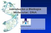 Introdução a Biologia Molecular: DNA - jvasconcellos.com.brjvasconcellos.com.br/fat/wp-content/uploads/2012/04/Aula-02.pdf · Modelo da dupla fita proposto foi fundamental para