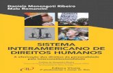 2 Sistema interamericano de direitos humanos · Malu Romancini SISTEMA INTERAMERICANO DE DIREITOS HUMANOS A efetivação dos direitos da personalidade pela interconstitucionalidade