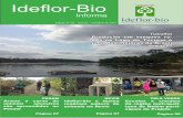 Ideflor-Bioideflorbio.pa.gov.br/wp-content/uploads/2016/08/Informativo-02... · Emater viabiliza a implantação de 18 hectares de SAF’s em Marabá ... além de se-rem beneficiadas