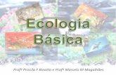Ementa (40 h/a) - bioifnmg.files.wordpress.com · ECOSSISTEMA: conjunto da comunidade e o ambiente (fatores bióticos e abióticos). ... •qualquer unidade que inclua a totalidade