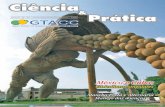 Pág. 12 - gtacc.com.br · Isso nos possibilita avali- ... 6 e 7 - IV Simpósio de Citricultura Irrigada, promovido pelo GTACCACC, ... sonho que se tornou realidade ?