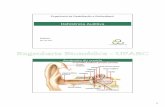 Anatomia do ouvido - Engenharia Biomédica » UFABCebm.ufabc.edu.br/wp-content/uploads/2013/01/2013_deficiencia... · Anatomia do ouvido Ouvido interno • Cóclea • Sist. vestibular