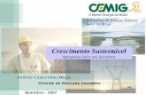 A Empresa de Energia Elétrica Líder no Brasil - Cemigcemig.infoinvest.com.br/ptb/3386/Expomoney_SP_2007.pdf · • Carteira de negócios de baixo risco – Equilíbrio adequado