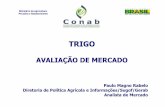 AVALIAÇÃO DE MERCADO - Home — Ministério da ... · avaliaÇÃo de mercado . ... pecuária e abastecimento brasil brasil ––Área e produÇÃo Área e produÇÃo. ... preÇos