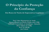 O Princípio da Proteção da Confiançatribcast-midia.s3-sa-east-1.amazonaws.com/wp-content/uploads/2015... · constituir” (Odete Medauar) • Um regime jurídico pode ser alterado,