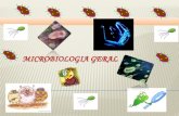 Introdução as microbiologia e cel bacterianas · 2 INTRODUÇÃO Microbiologia é um ramo da Biologia que estuda os seres microscópicos, nos seus mais variados aspectos morfologia,