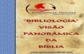 BIBLIOLOGIA – VISÃO PANORÂMICA DA BÍBLIA · 4 theologia online – living stones ... capitulo 09 capÍtulos e versÍculos ... bibliologia – visÃo panorÂmica da bÍblia 9