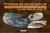 Processo de construção da sustentabilidade - Fundo Vale · Pnae Programa Nacional de Alimentação Escolar ... sobre a construção da sustentabilidade em São ... de Trabalho –