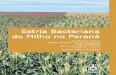 seu modo de disseminação, potencial de danos econômicos e ... · do Milho no Paraná Rui Pereira Leite Jr. ... Doutor em Fitopatologia Pesquisador da Área de Proteção de Plantas
