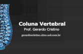 Coluna Vertebral - Dr. Gerardo Cristinogerardocristino.com.br/.../Aulas/Outras/Coluna_Vertebral.pdf · Coluna Vertebral Estrutura Geral Curvaturas espinhais Sacral Lombar Torácica