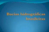 Características da hidrografia - pessoal.educacional.com.brpessoal.educacional.com.br/up/4660001/12373622/bacias... · Características da hidrografia brasileira ... floresta no