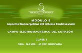 MODULO 9 Aspectos Bioenergéticos del Sistema Cardiovascular … · LAMINA TEMA: CLASE 1 1 SISTEMA CARDIOVASCULAR MODULO 9 Aspectos Bioenergéticos del Sistema Cardiovascular CAMPO